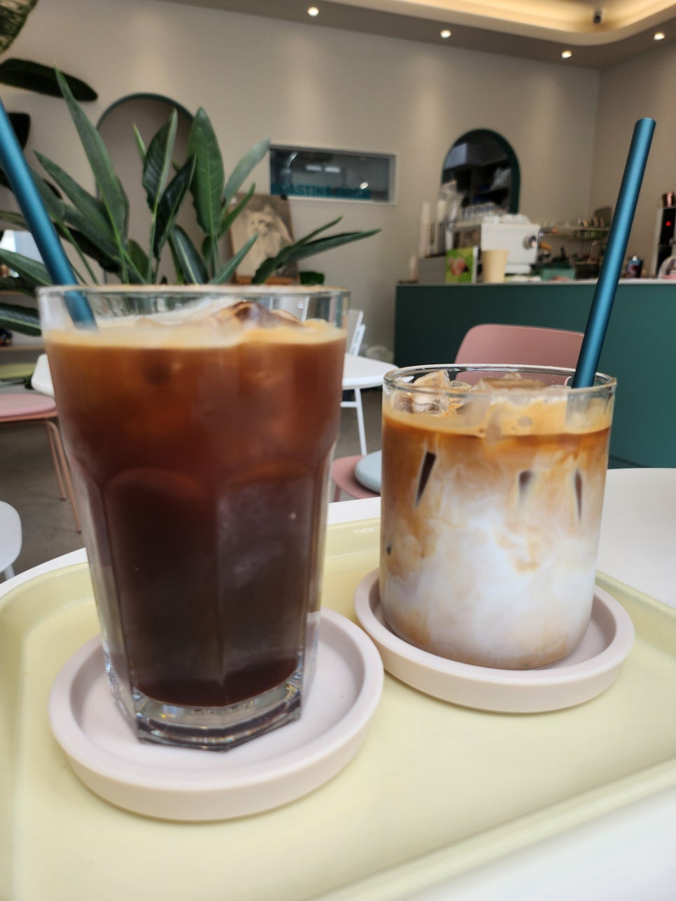 선인장 로스터즈 사진 6