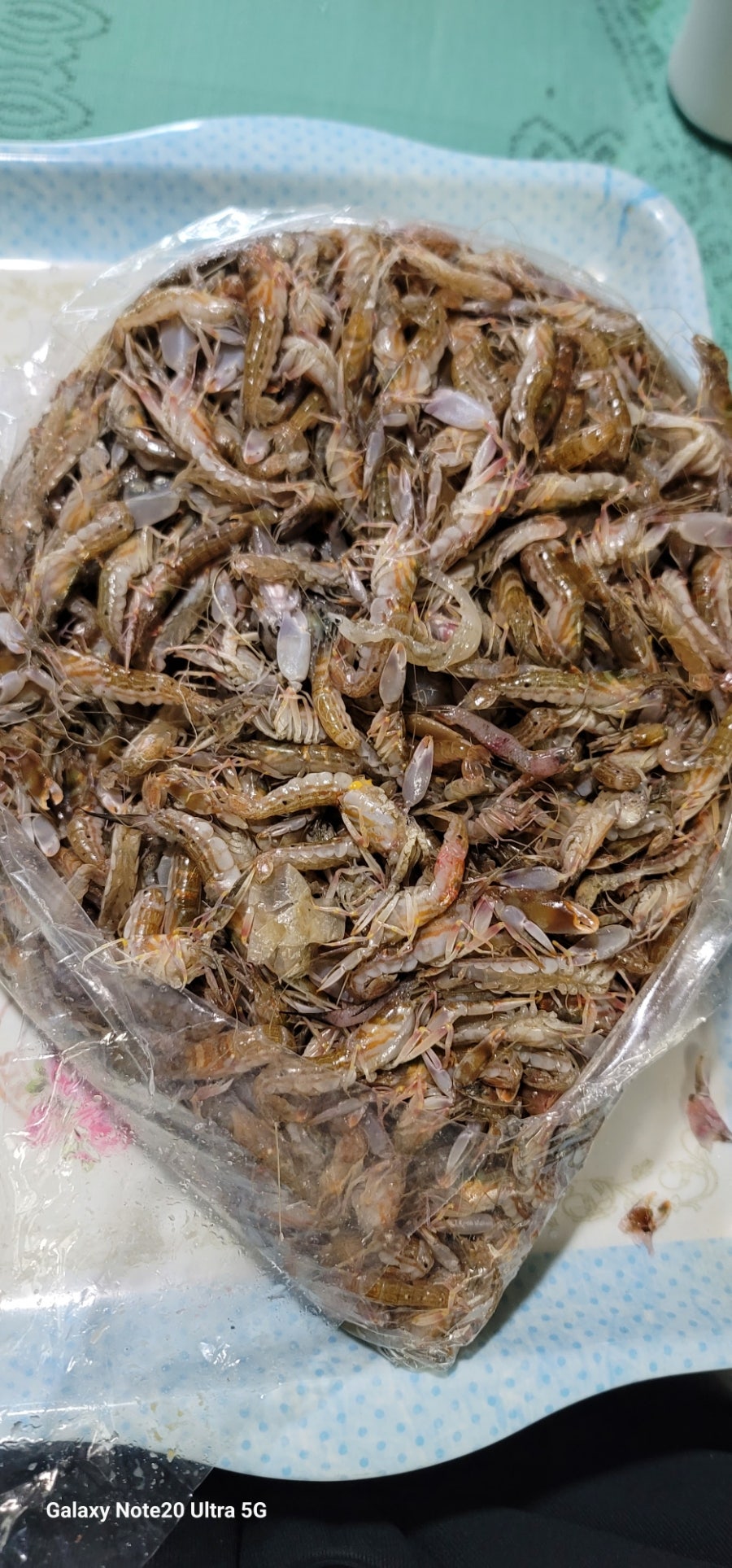 정나눔 사진 3