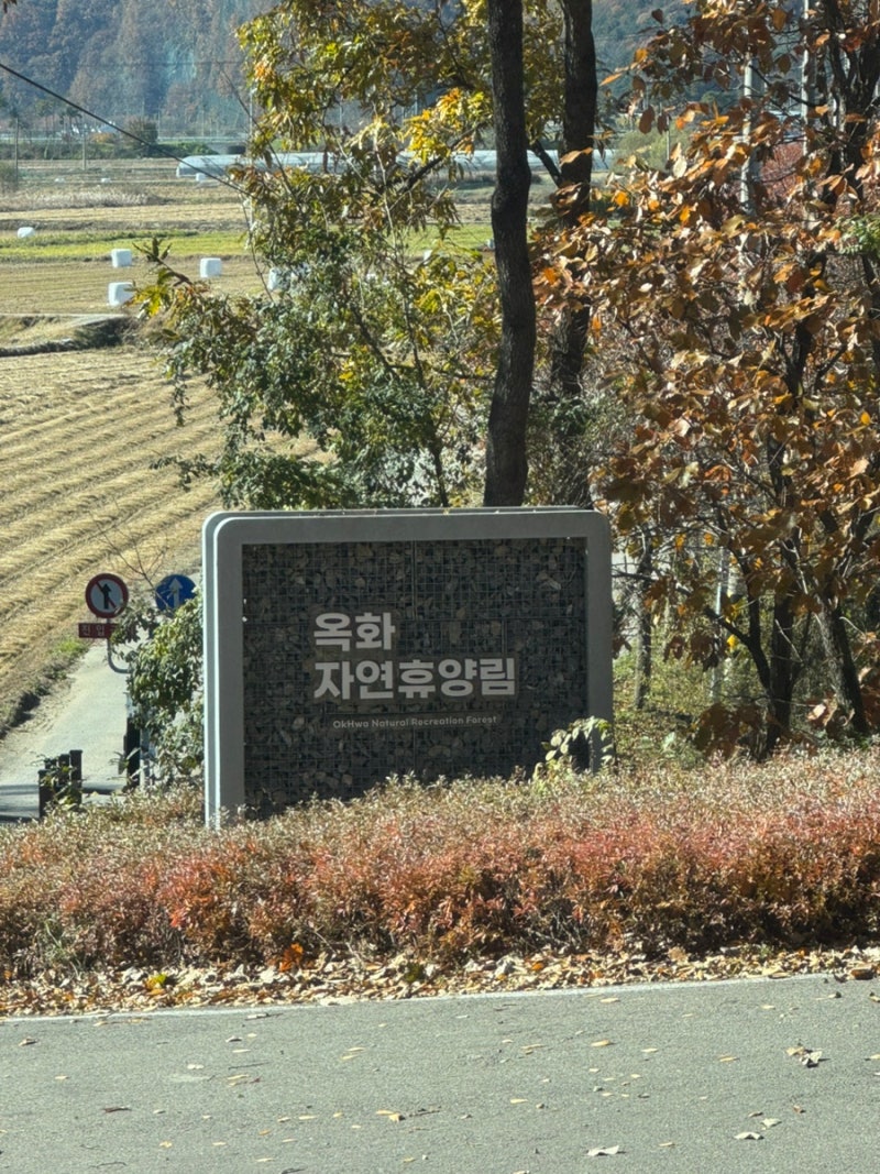 아이랑국내여행추천 청주 옥화자연휴양림 숲속의집 객실후기 (잣나무1호 벚나무1호)