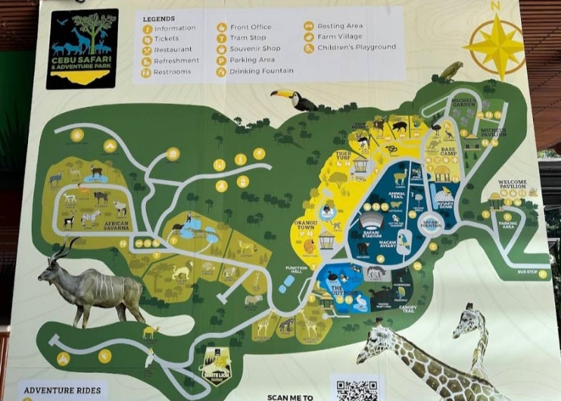 필리핀 세부 가족과 가볼만한 곳 – 사파리 어드벤쳐 🐦 (동물 관찰과 체험 활동 추천)