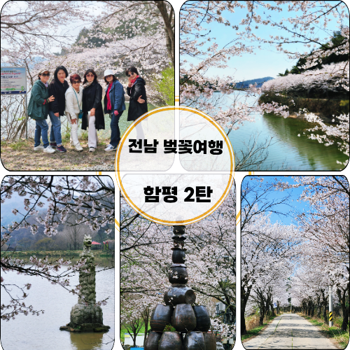 동정제 사진 1