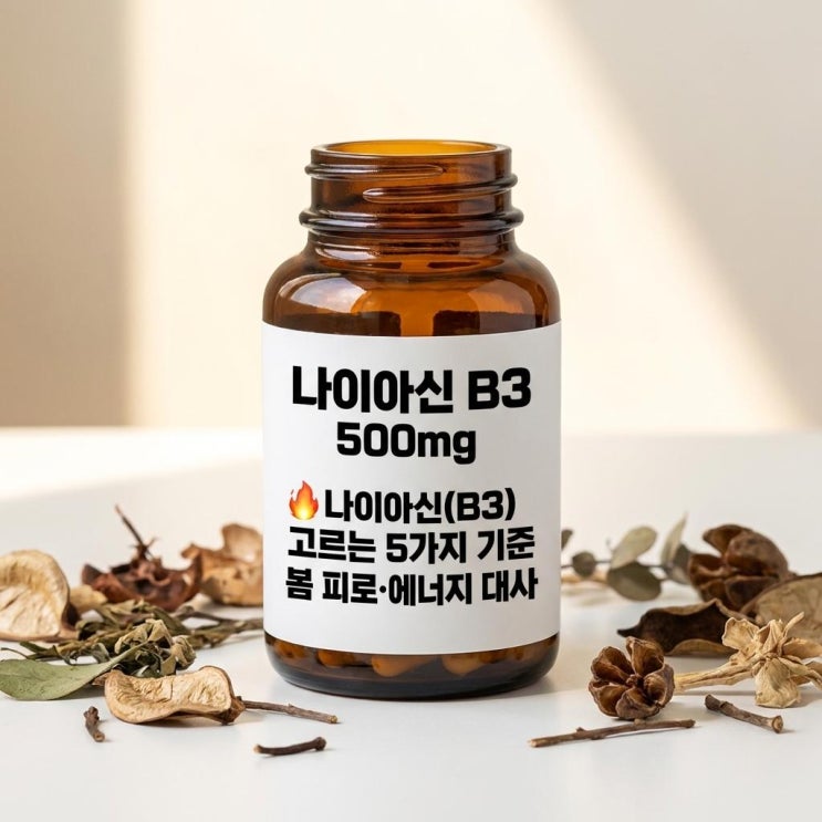   나이아신(B3) 고르는 5가지 기준 | 봄 피로·에너지 대사