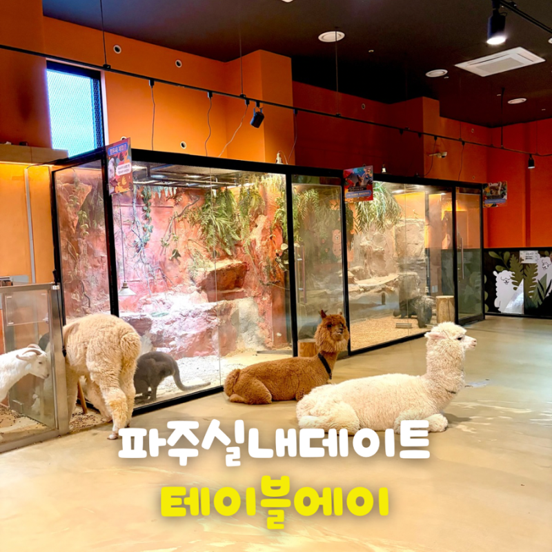 파주실내데이트 일산 파주 동물체험 테이블에이