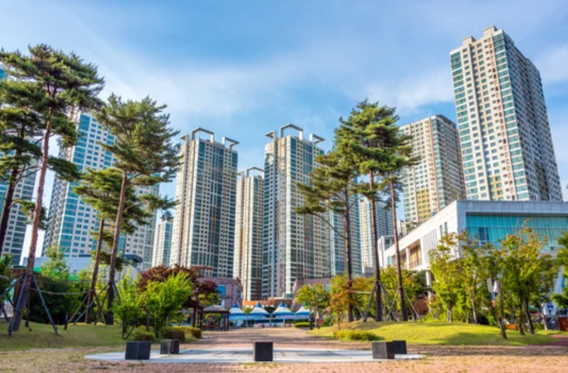 사진 6