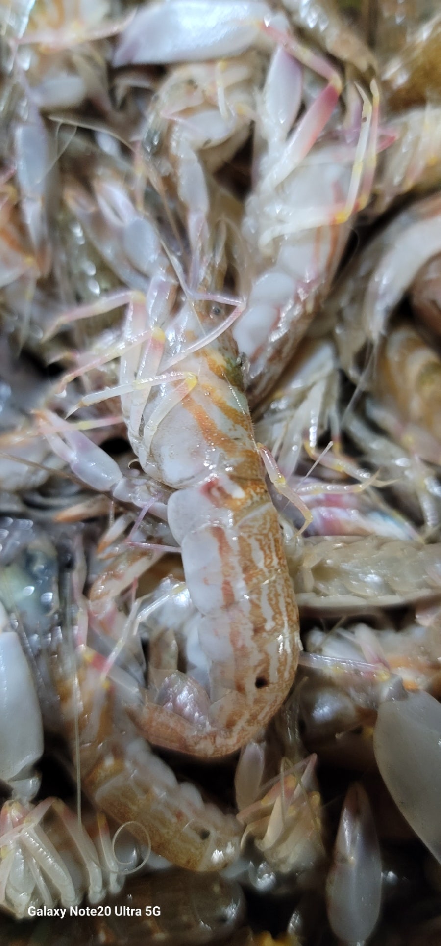 정나눔 사진 2