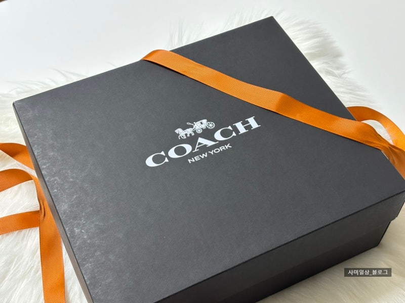 20대 여자선물 추천 가방, COACH 코치 태비 숄더백 26 후기