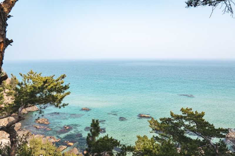 사진 5