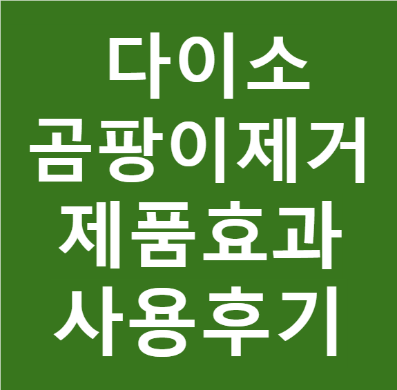 다이소 벽지 곰팡이 제거 제품 효과와 사용 후기 실제 비교
