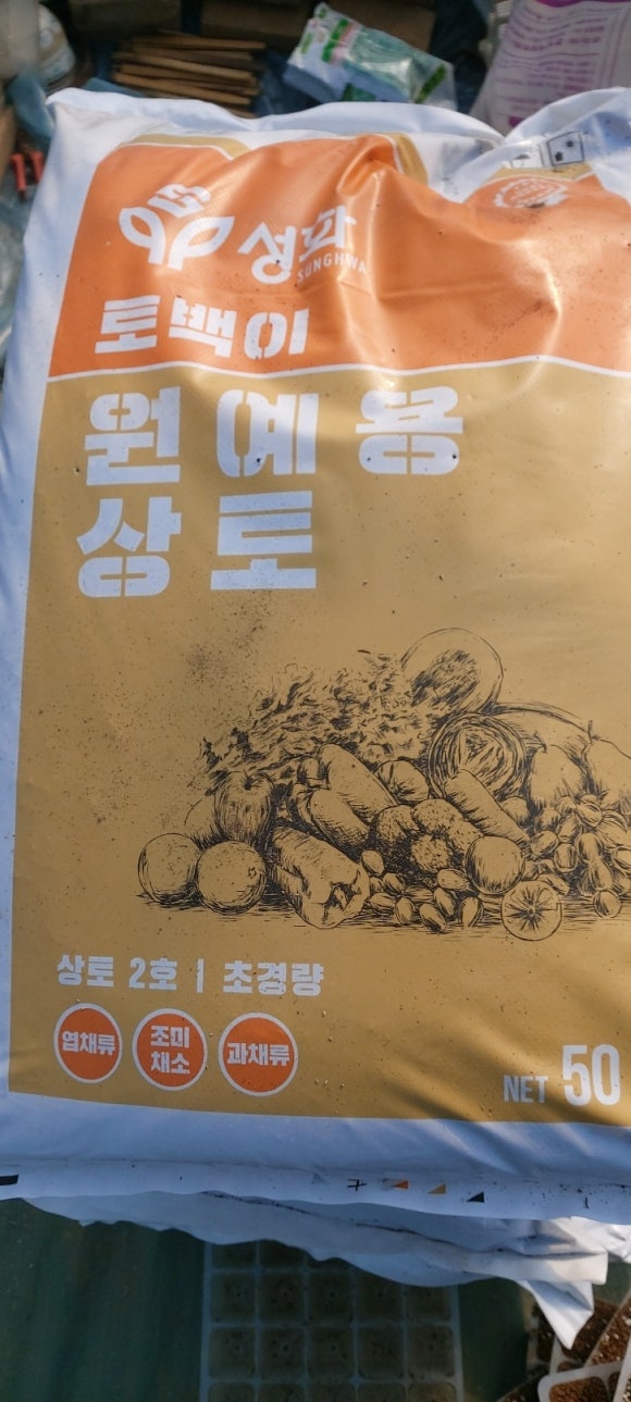  고추가식모 준비작업