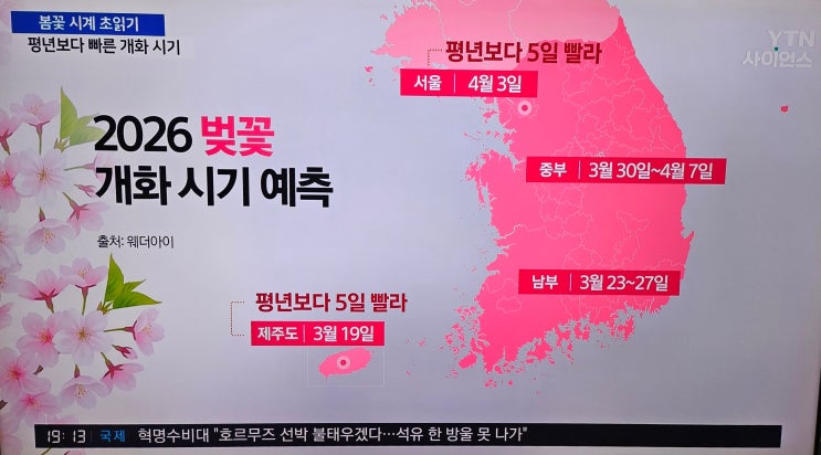  2026년 벚꽃 개화시기 벚꽃축제 삼락체육공원