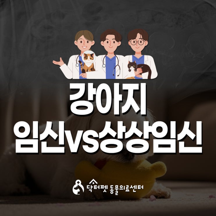  강아지 임신 vs 상상임신  중성화가 답?