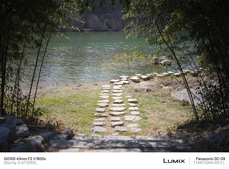  이른 봄의 산책| Lumix S9 + TTArtisan 40mm F2.0