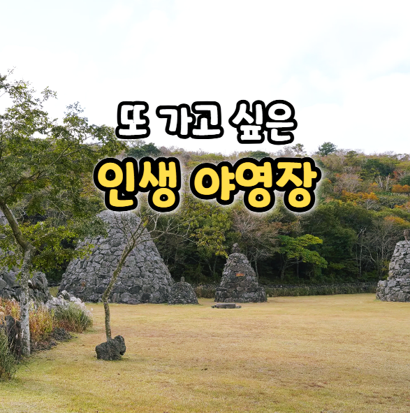  교래자연휴양림 야영 사이트 리뷰 야영장 이용 예약 방법