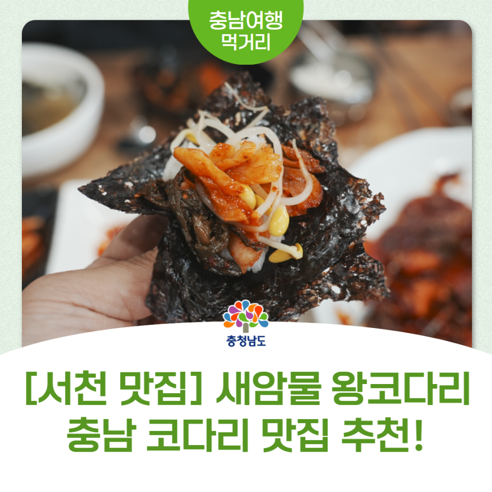 새암물왕코다리 사진 1