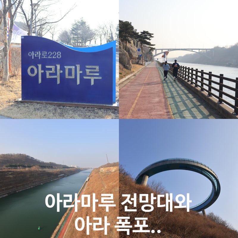 사진 12