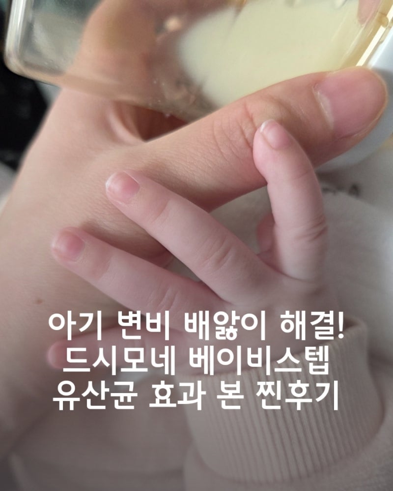 사진 7