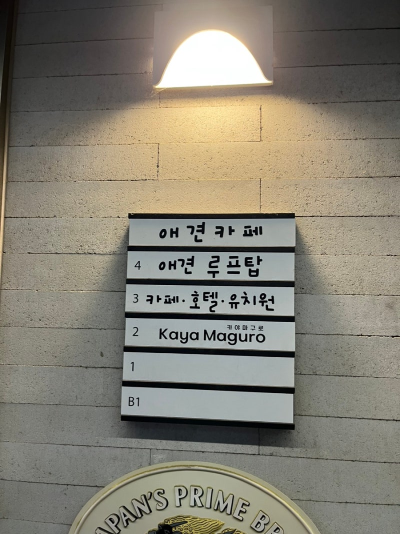 사진 3