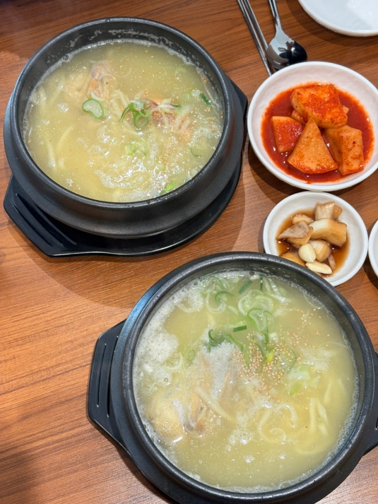  포항 닭칼국수 맛집 점심 추천 김종구닭칼국수육보쌈 포항 효자점