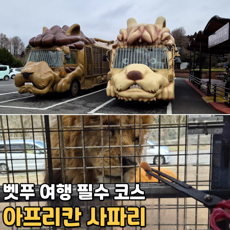  아이와 벳푸 여행 2일차아프리칸 사파리 가는 법 + 정글버스 먹이주기 체험 후기