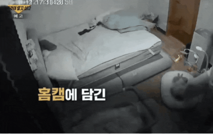  여수 해든이 사건 정리… 4개월 영아 사망 사건 충격 진실? ‘그것이 알고싶다’ 방송 이후 다시 주목받는 이유(라슬기, 정인덕 인스타그램 주소)