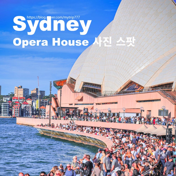  시드니 오페라하우스 사진 스팟 어디가 좋을까｜Circular Quay·Mrs Macquarie’s Chair·Harbour Bridge 촬영 포인트 정리