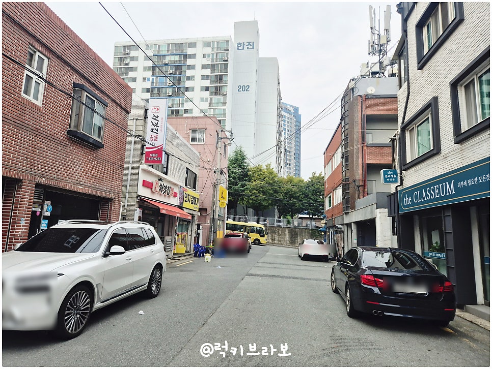 연지갈매기 사진 5