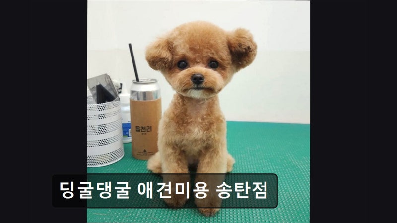 사진 6