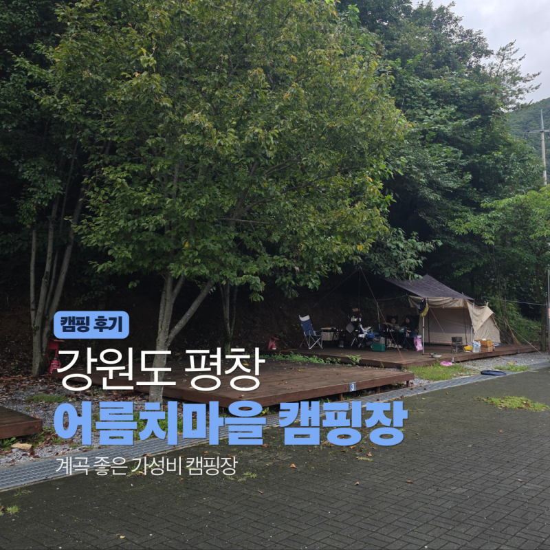 사진 3