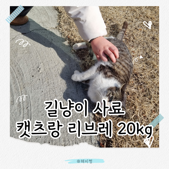 길고양이 사료 추천 캣츠랑 리브레 20kg 대용량 후기