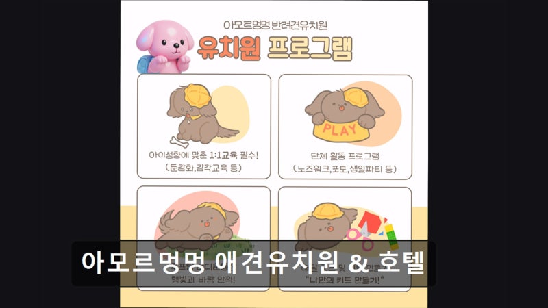 사진 3