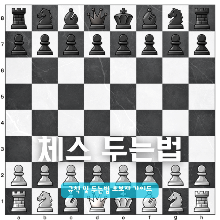  체스 규칙 및 두는법 초보자 가이드 | 뉴비도 10분이면 룰 마스터