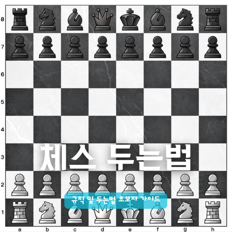체스 규칙 및 두는법 초보자 가이드 | 뉴비도 10분이면 룰 마스터