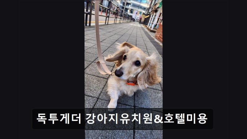 사진 2
