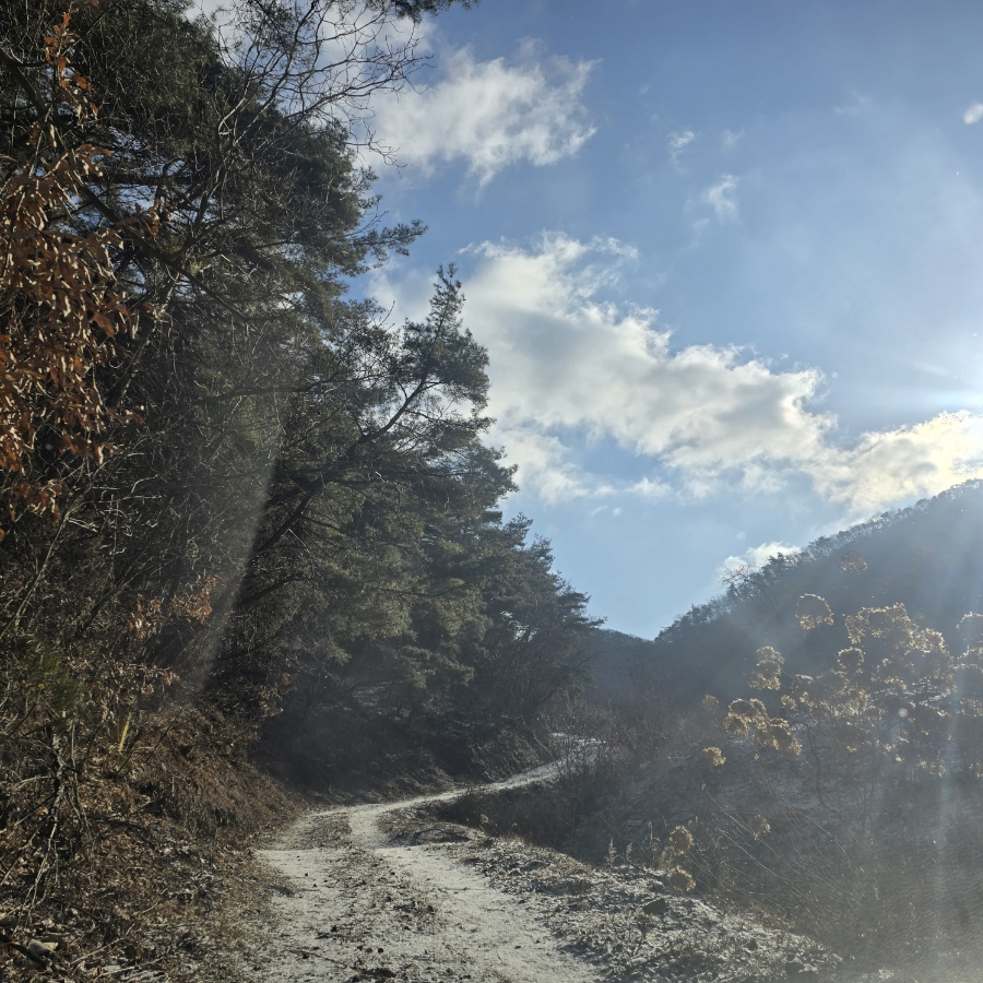 Multanggol photo 6