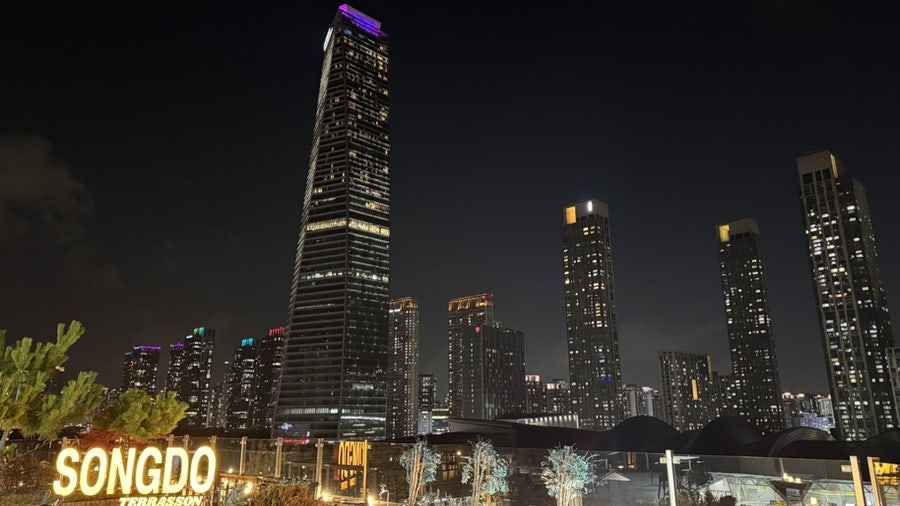 테라송 사진 5