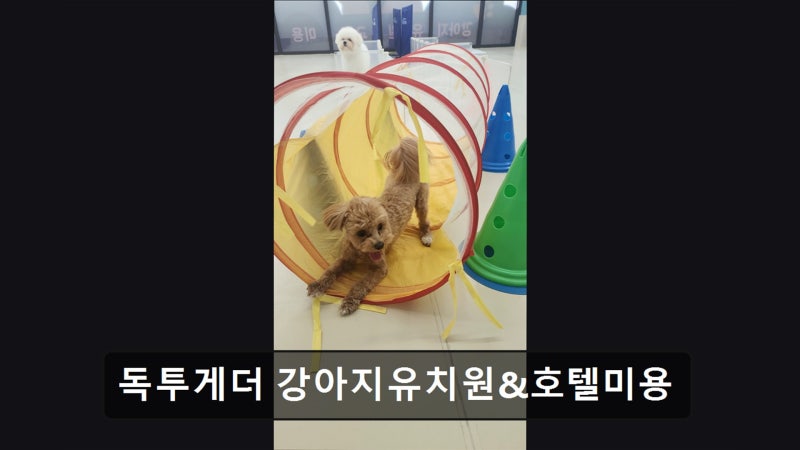 사진 3