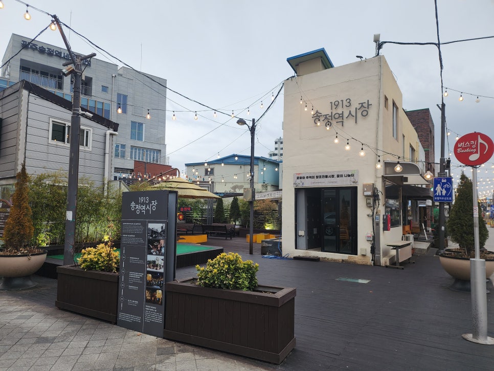 춤추는타코 사진 1