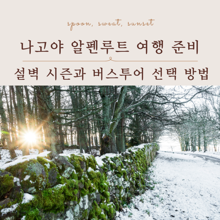  나고야 알펜루트 설벽 투어 가이드｜버스투어 일정,시즌 정리