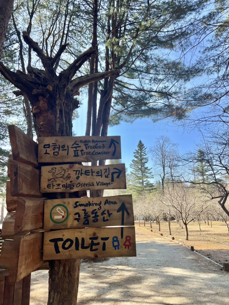 연가지가 사진 3