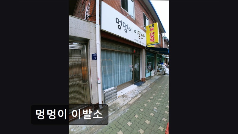 사진 2