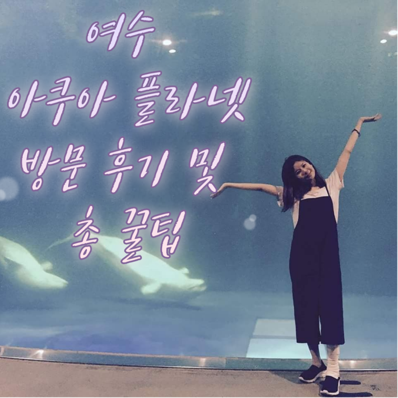아쿠아플라넷 여수 주차장 할인 벨루가 공연시간 총정리
