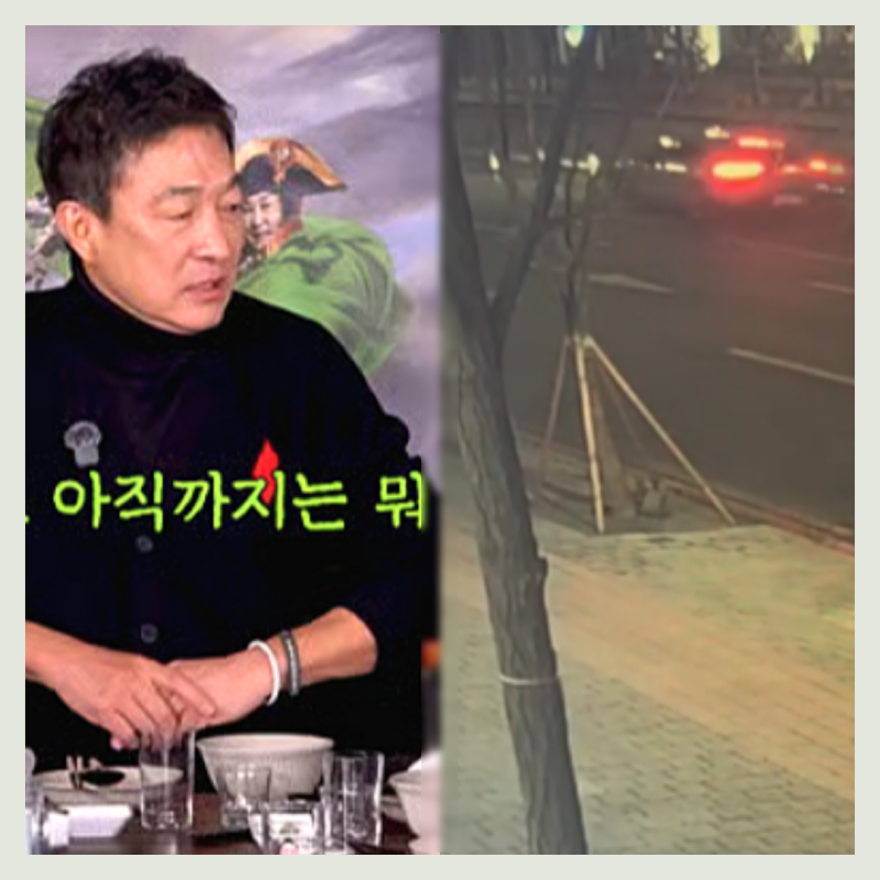 11년만에 복귀한 유호정, 남편 이재룡 음주운전으로 날벼락? 사고 당시 CCTV 영상 보니 만취상....