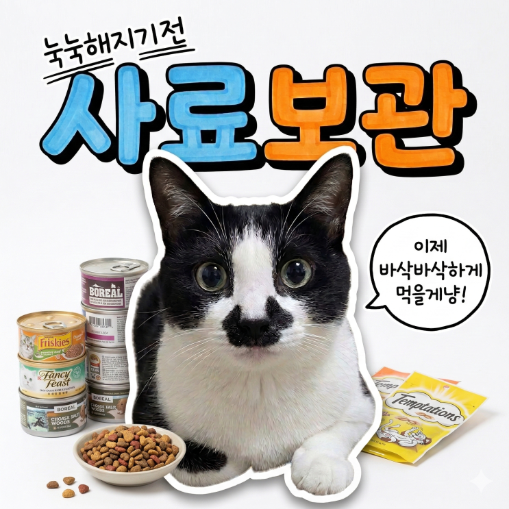  기온급변 봄철 고양이 사료 영양제 보관 방법 돌덩이 된 유산균 먹여도 될까? 다 버리기 전 꼭 보세요