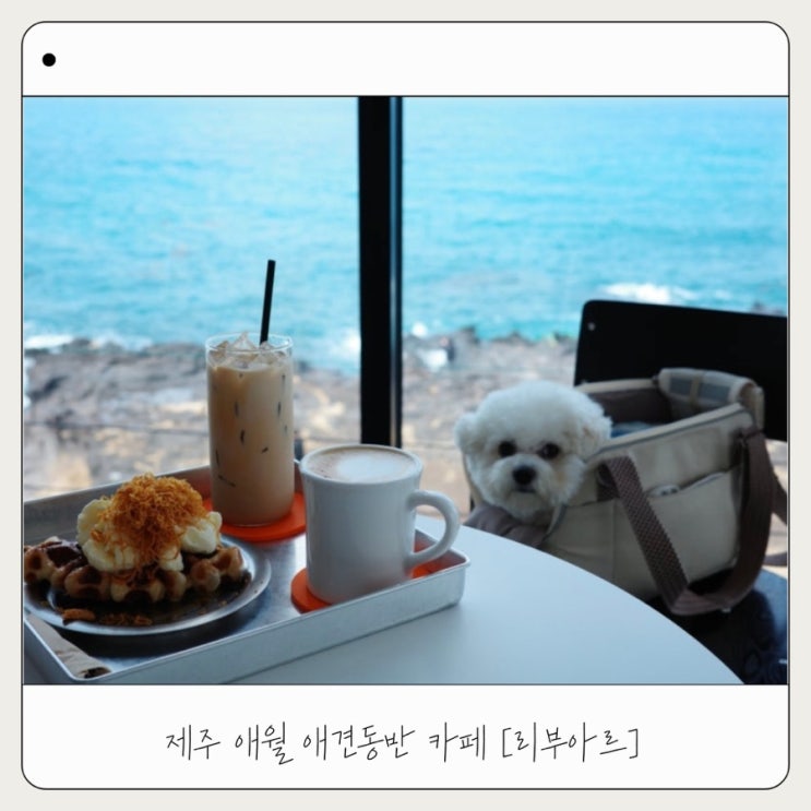  [리부아르] 제주 애월 애견동반 오션뷰 카페 추천