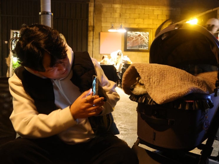  남양주 애견동반 새벽카페 플랜트202 밤에도 브런치 가능