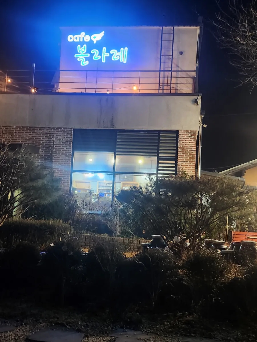 볼라레 사진 2