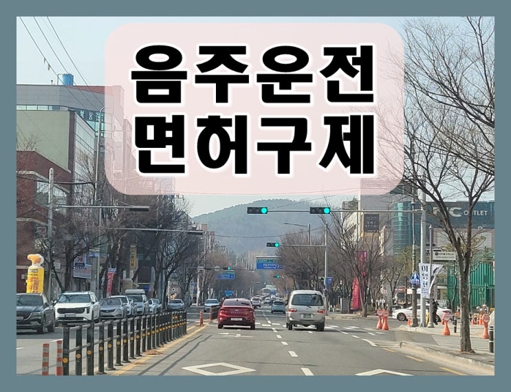  세종 행정사 사무소 음주운전 면허취소 구제