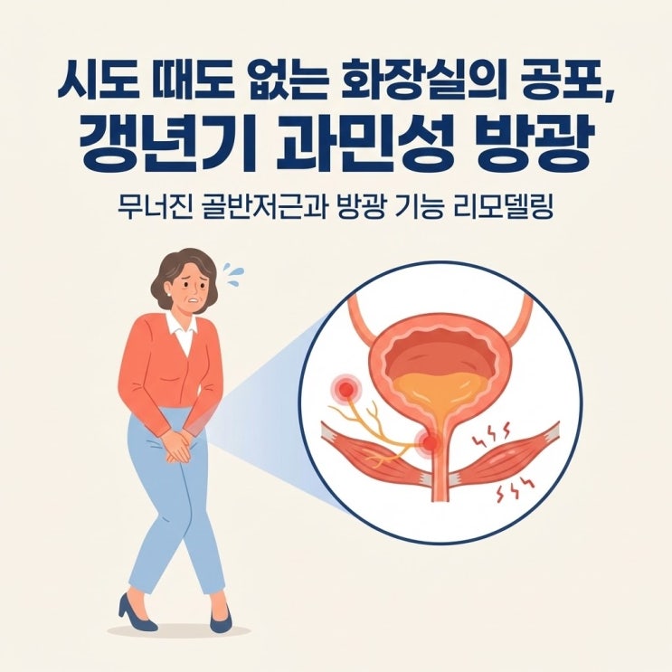  갱년기 과민성 방광 요실금 증상 원인, 여성 빈뇨 및 야간뇨 치료 (베타미가 베시케어 부작용)