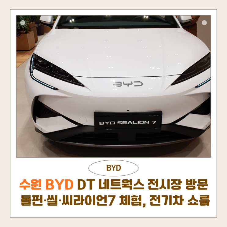  수원 BYD 전기차 전시장 방문 후기 | 돌핀·씰·씨라이언7 실물 체험, 도이치오토월드 DT 네트웍스