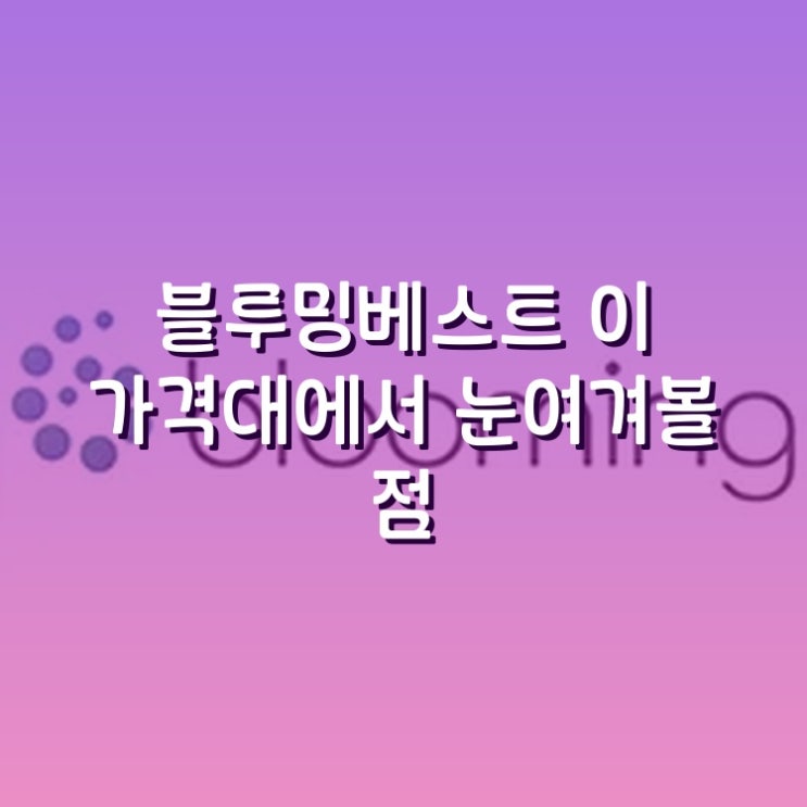  블루밍베스트 비데 이 가격대에서 눈여겨볼 점
